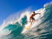 FB体育APP-意甲焦点战，黄蜂淘汰赛过关国王，战术与意志的双重胜利