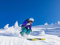 FB体育官方网站-布伦森爆发引领新疆队连续得分压制灰熊，展现团队篮球新高度