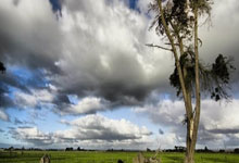 FB体育娱乐-中超引爆地球级狂欢！阿根廷VS曼城史诗战：梅西破门+阿圭罗诡异降临，4-3神剧情诞生