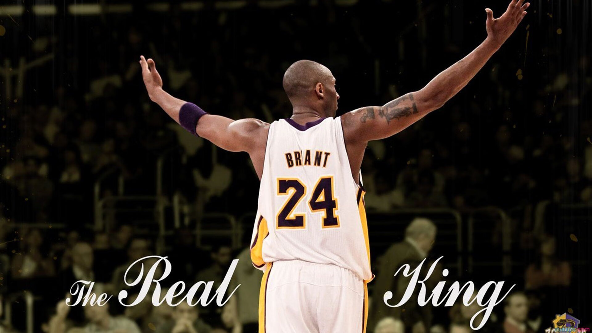 范弗利特压制级发挥主导战局，吉林队攻防一体速胜开拓者